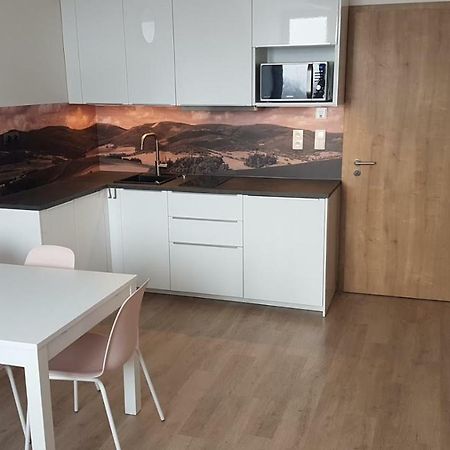 Apartmany Dolni Morava Bagian luar foto