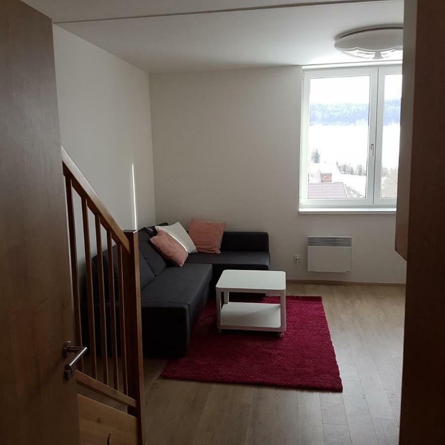 Apartmany Dolni Morava Bagian luar foto