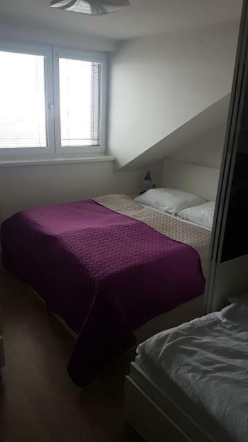 Apartmany Dolni Morava Bagian luar foto